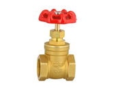 ���̌��þ�Ʒ�l�y